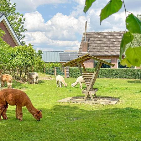 Alpacafarm Vorstenbosch Eksteriør billede
