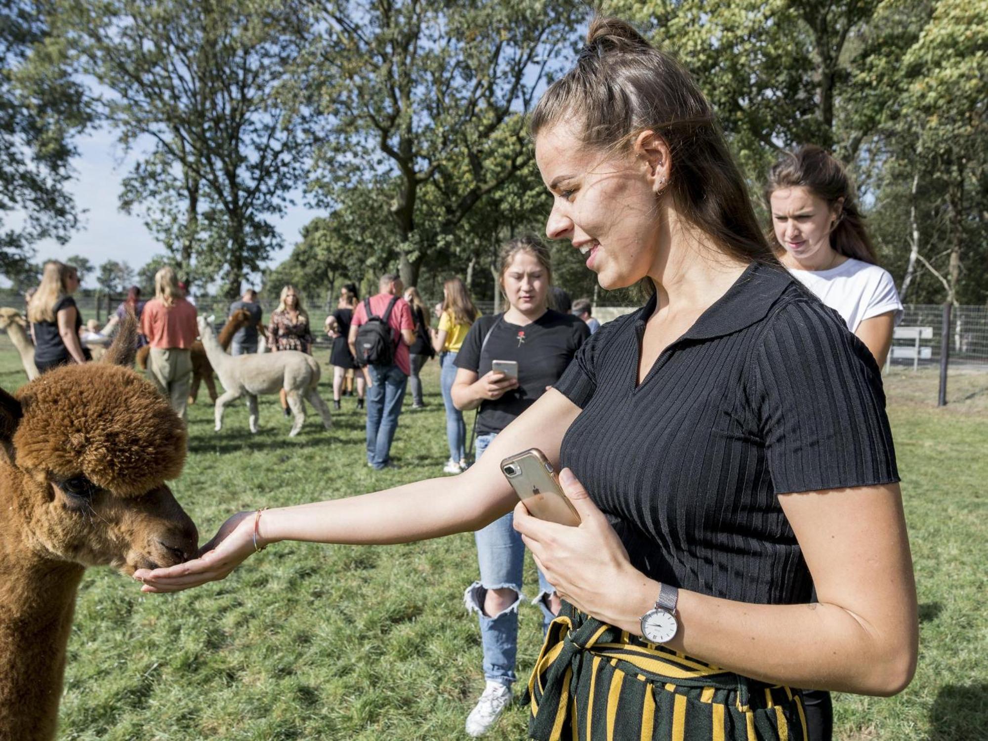 Alpacafarm Vorstenbosch Eksteriør billede