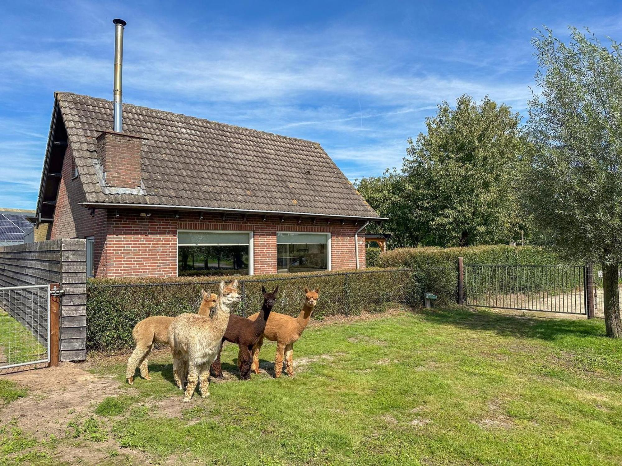 Alpacafarm Vorstenbosch Eksteriør billede