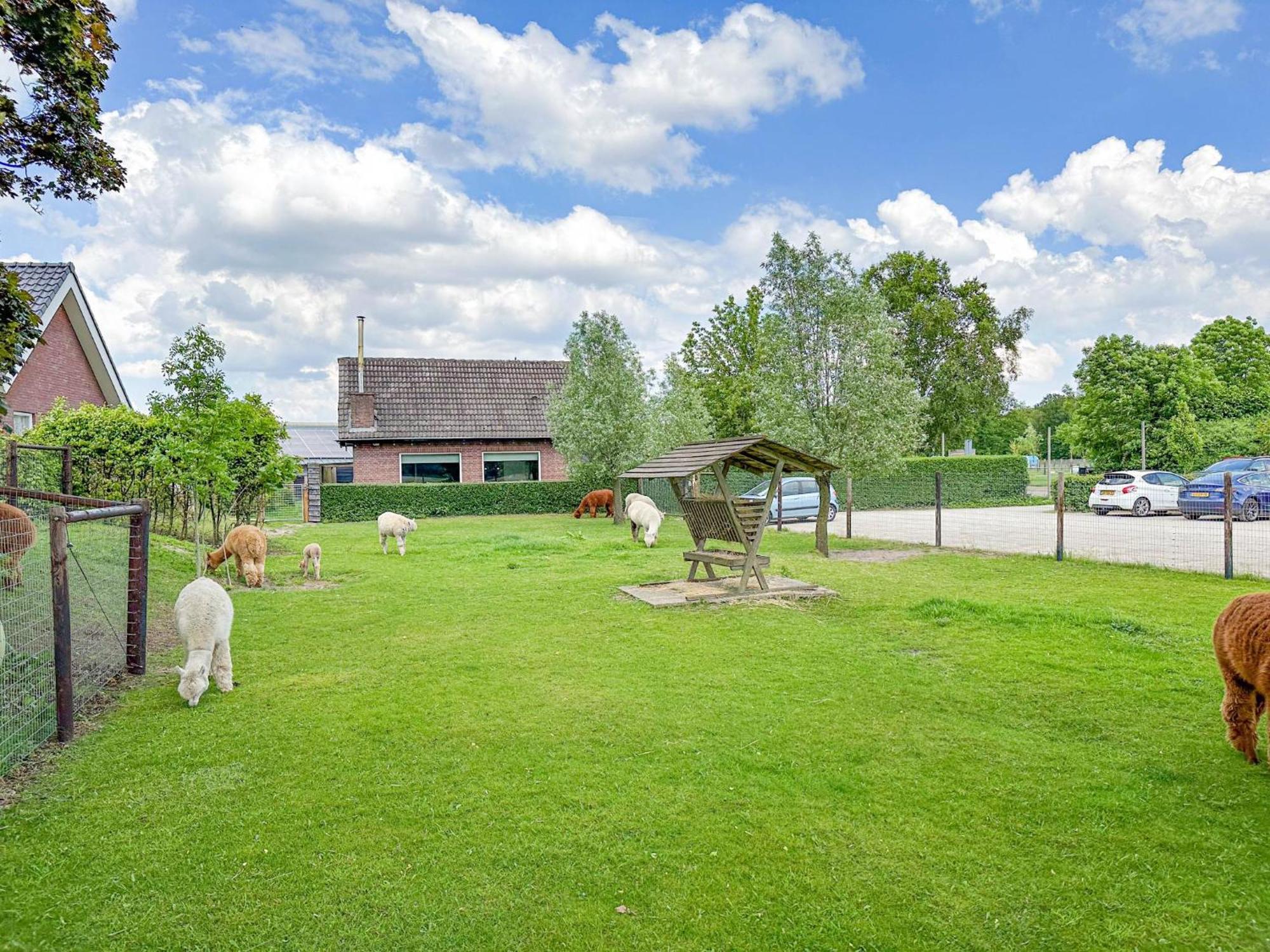 Alpacafarm Vorstenbosch Eksteriør billede