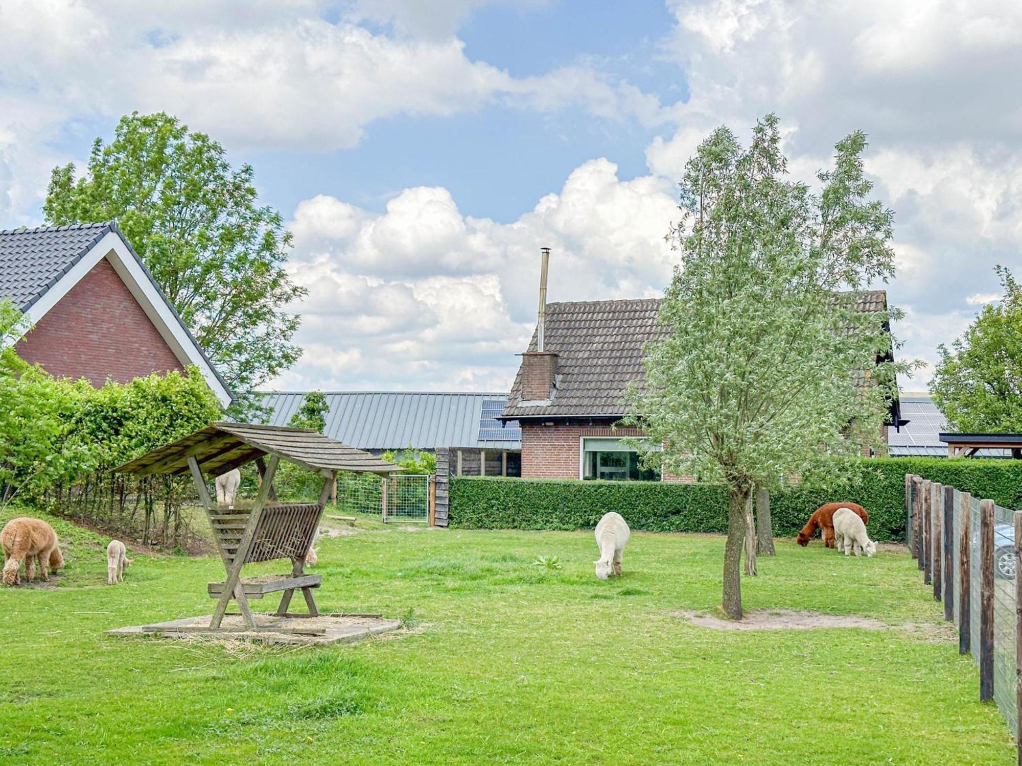 Alpacafarm Vorstenbosch Eksteriør billede